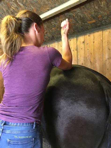 Myofascial Therapy — Jessica Limpkin Equine Massage Therapy