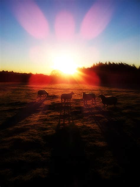 Allendale Golf Club | northumbrian : light