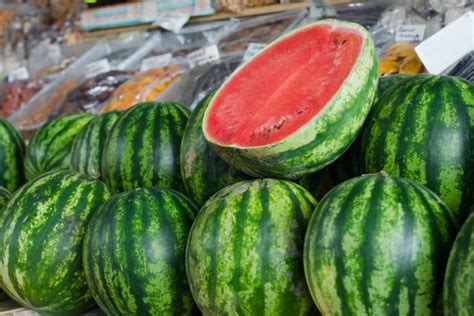 Common Watermelon Diseases & Prevention - Garden.eco