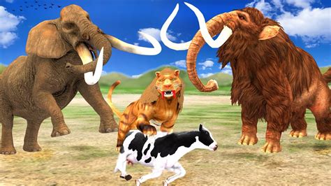 Zombie Mammoth Vs Elephant Save Cow Cartoon From Saber Tooth Tiger