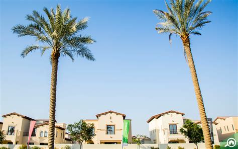 Arabian Ranches 2 Area Community And Lifestyle Bayut™