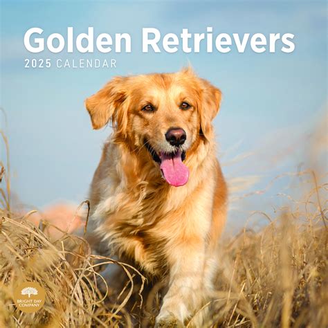 18 Golden Retrievers Wall Calendar Mead 9