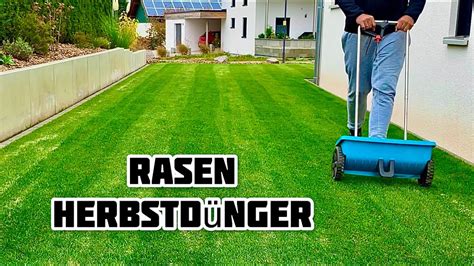 Rasen D Ngen Im Herbst Herbstd Nger Rasen Pflege Im Herbst