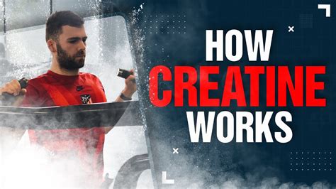 Creatine Explained Basics For Beginners Youtube