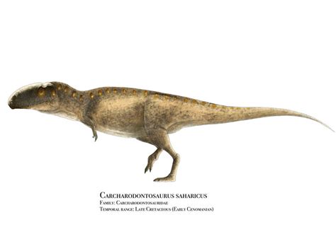 Carcharodontosaurus By Prehistorybyliam On Deviantart