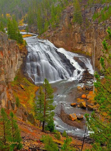 Gibbon Falls In Yellowstone National Park Grand Tetons Waterfall