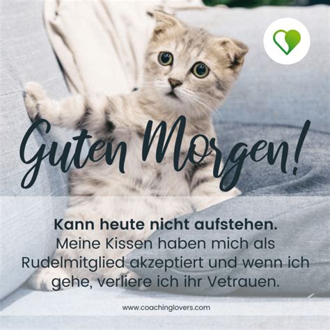 Guten Morgen Zitate Und Sprüche Coachinglovers