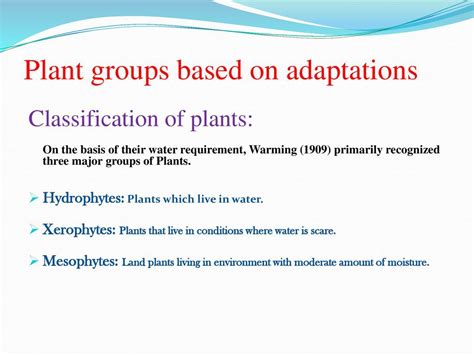 Morphological, Anatomical & Physiological Adaptations of Hydrophytes