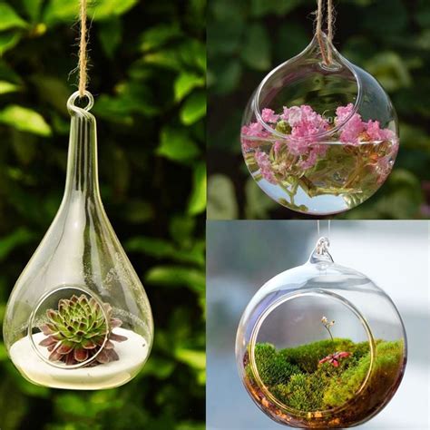 Ball Globe Shape Clear Hanging Glass Vase Flower Plants Terrarium Vase Container Micro Landscape