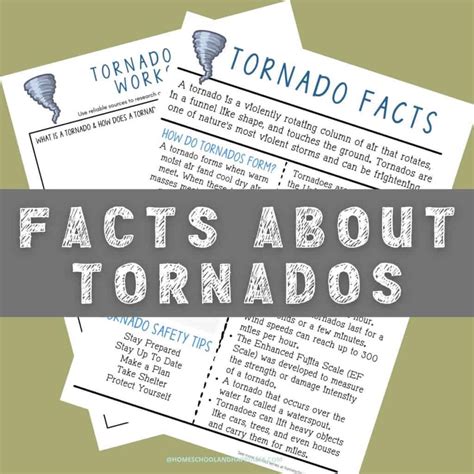 15 Tornado Facts for Kids - Learning About Tornados Printable