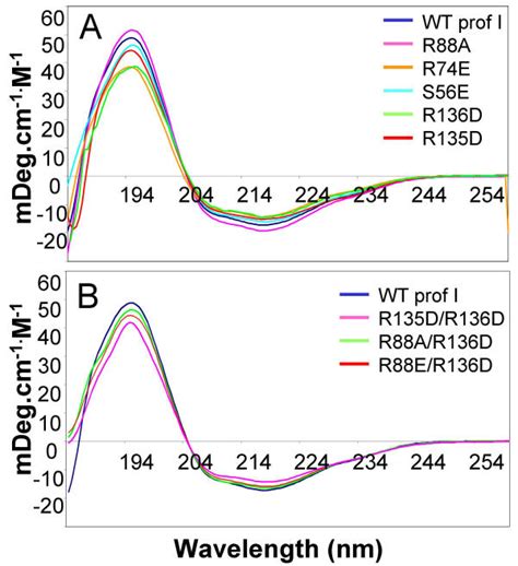 Circular Dichroism Spectra Show That The Mutants Have A Similar Fold As