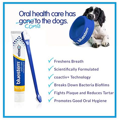 Dentifrice Et Brosse Dents Pour Chien P Te Dents Saveur Poulet