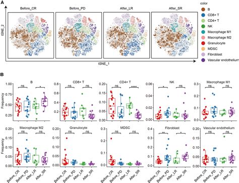 High Multiplex Single Cell Imaging Analysis Reveals Tumor Immune