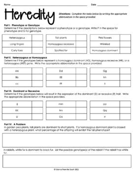 Genetics and Heredity Worksheet with Differentiation for Assessment or ...