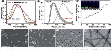 Figure From Deciphering The Evolution Of Supramolecular Nanofibers In