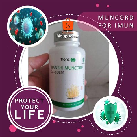 Jual Tiens Muncord Cordyceps Capsule Isi 100 Kapsul Imunitas Tubuh