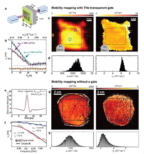 Mapping Of Carrier Mobility And Carrier Density With A D And