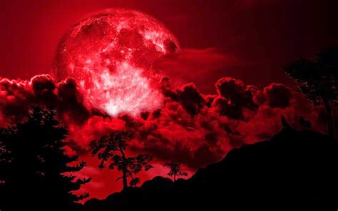 Crone Cronicles: Blood moon Ritual By Cath Green