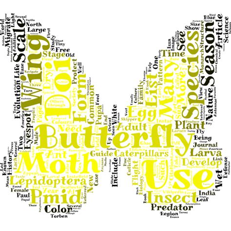 tagul butterfly word cloud art butterfly reflection ideas butterfly