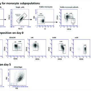 Flow Cytometry Of Isolated Pbmc Monocytes And Macrophages Peripheral