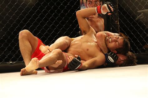 Przeznaczenie i rodzaje rękawic MMA Audyt seo stron internetowych