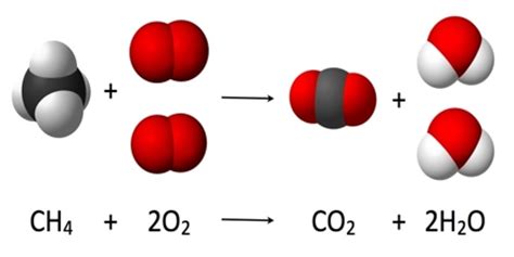 Understanding Chemical Reactions - Assignment Point