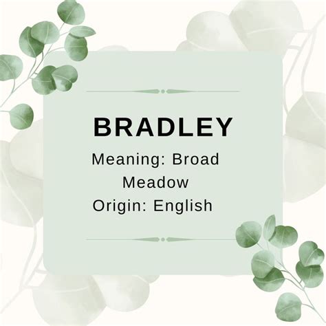 Bradley: Broad Meadow Baby Boy Name