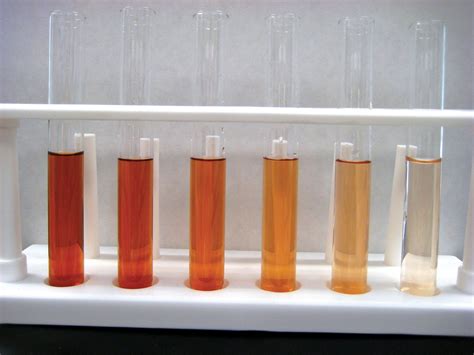 Analysis Of Enzymes Using Peroxidase Biology I Introduction To Cell