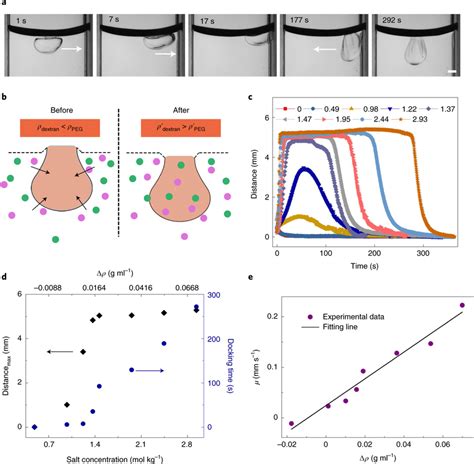 Switchable Meniscus Climbing Behaviour Of The Aqueous Droplet Under