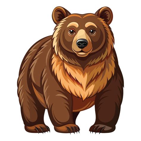 bear illustration  white background  vector art  vecteezy