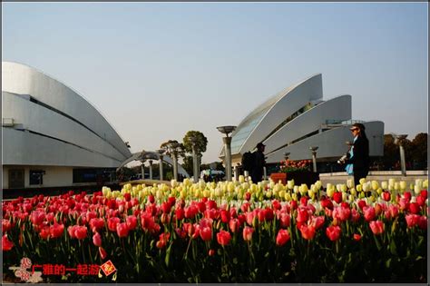 【最美春天】2014上海鲜花港郁金香花展掠影 游记攻略【同程旅游攻略】