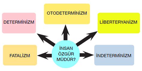 Zg Rl K Ve Sorumluluk Aras Ndaki Li Ki Felsefe Hakk Nda Her Ey