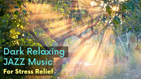 Vigorously Dark Relaxing Jazz Music For Stress Relief Youtube