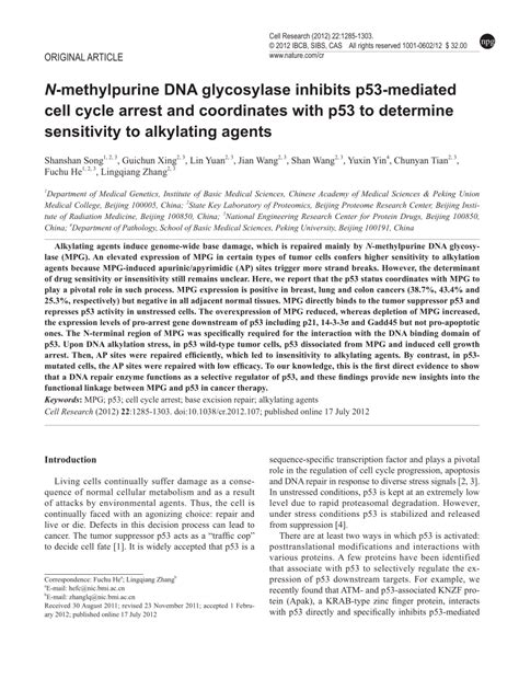 methylpurine dna glycosylase inhibits p mediated cell cycle