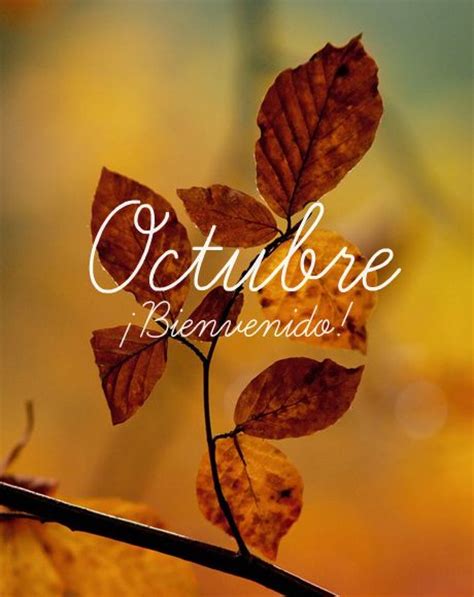 Bienvenido Mes De Octubre Imágenes Y Frases Hoy Imágenes