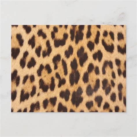 Trendy Girly Chic Wild Safari Leopard Print Postcard Zazzle