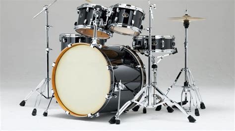 Cardio Drumming - A Comprehensive Guide [Upd. 2024]