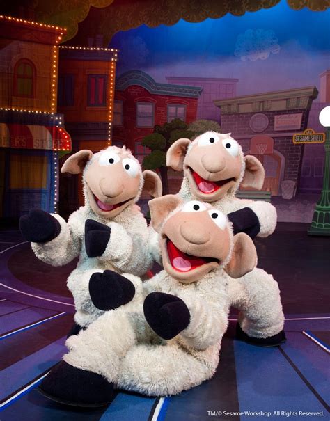 vicious lamb sesame sheep