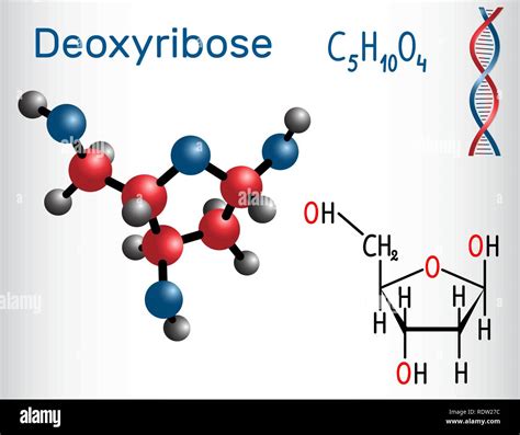 Deoxyribose Molecule It Is A Monosaccharide Deoxy Sugar It Forms Part Of The Backbone Of Dna