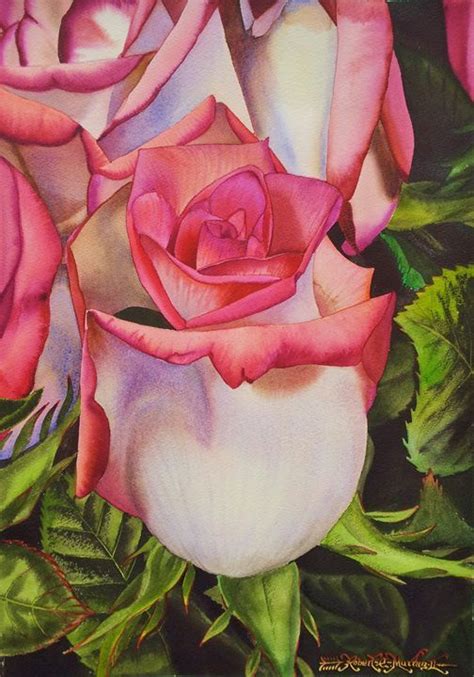 Blushing Pink Roses Robert C Murray Ii