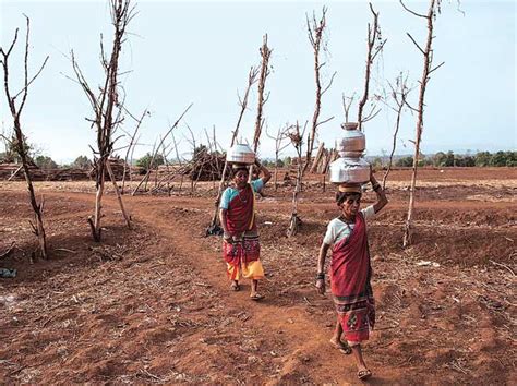 Water Crisis Deepens In Maharashtra Business Standard News