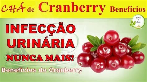 🍵 ChÁ De Cranberry Para Que Serve Infecção Urinária Como Fazer O