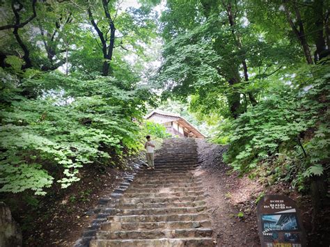 [가을정원 여행] 세계유산 안동 봉정사 영산암 마당가든 헤럴드경제