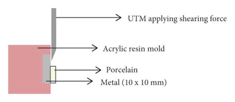 Shear Bond Strength Tested Using Universal Testing Machine After Download Scientific Diagram