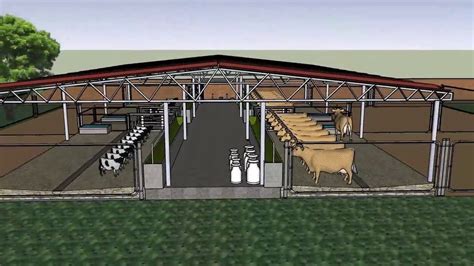 Cow Shed at ₹ 125/square feet | Dairy Farm Sheds in Ghaziabad | ID: 24830656997