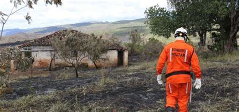 Mais de 510 mil hectares foram queimados em incêndios florestais na