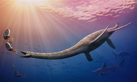 Plesiosaurus Digital Art by Mohamad Haghani - Fine Art America