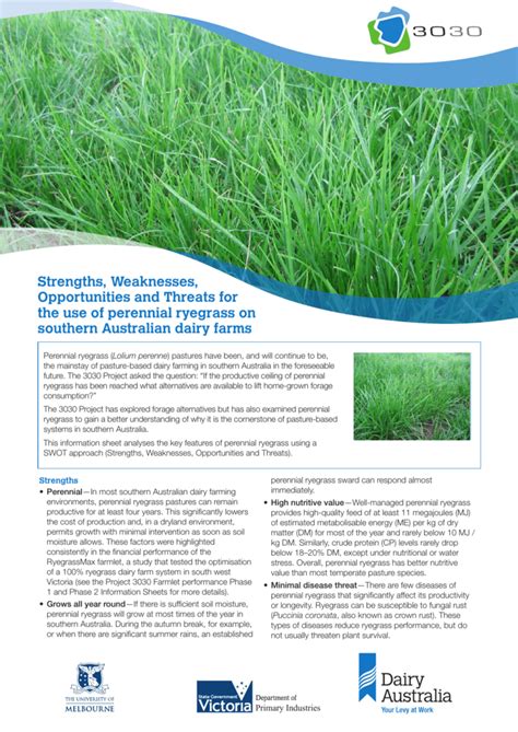 Perennial Ryegrass