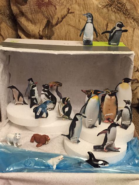 Penguin Diorama Penguins Project Diorama Kids Arctic Animals