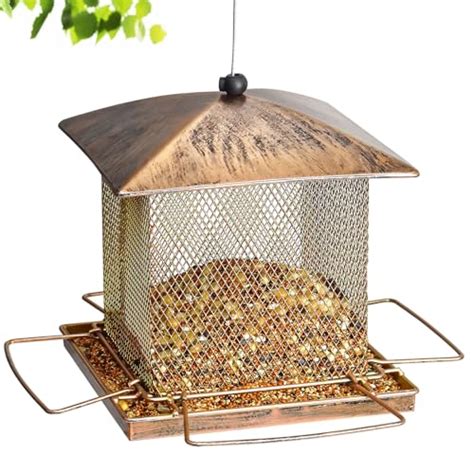 10 Best Bird Feeder For Large Birds